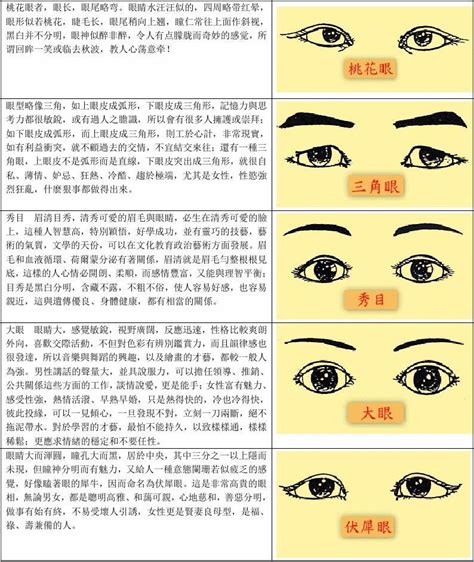 魚眼 面相|女人鱼眼面相解释分析，动物式眼睛面相分类！